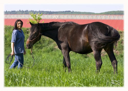 Obrazek