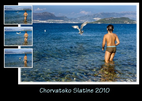 slatine-2010-c.jpg